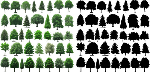 Silhouettes of Pine Trees set, Tree and Firs against a White Background. Forest Shapes and Templates for Nature-Themed Vector Designs.