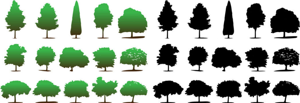 Silhouettes of Pine Trees set, Tree and Firs against a White Background. Forest Shapes and Templates for Nature-Themed Vector Designs.