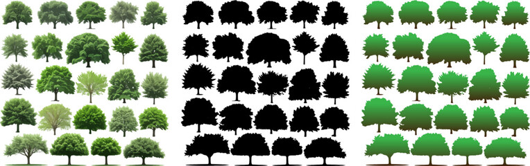 Silhouettes of Pine Trees set, Tree and Firs against a White Background. Forest Shapes and Templates for Nature-Themed Vector Designs.