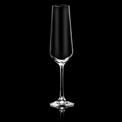 Wine glass on a black background