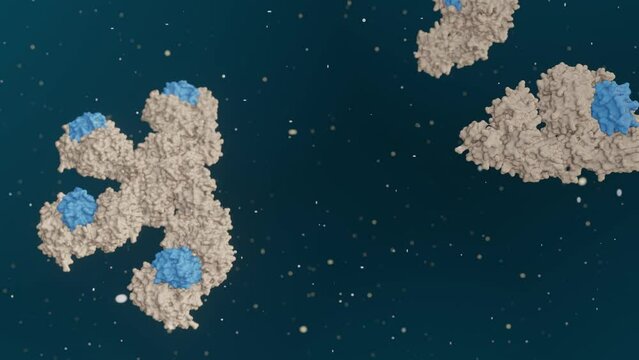3D animation of forming human apoptosome molecule contains seven Apaf-1 molecules symmetrically arranged in a wheel-shaped structure to form a central hub
