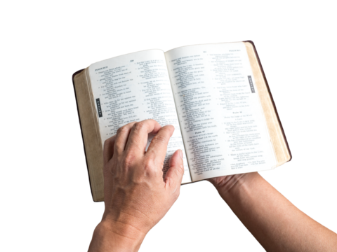 Man holding an open Holy Bible in his hands. Page shows Psalm. Isolated, transparent background.