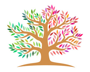 tree with colorful leaves vector