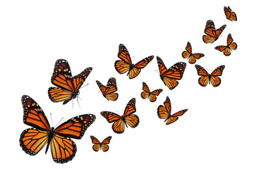butterflies in flight - 675680122