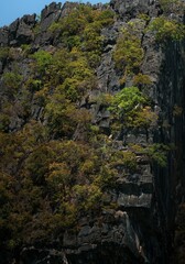 Rock cliff with natural trees.