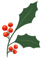 Christmas Holly Mistletoe. © Monsiri