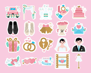 Joyous Wedding Festivities and Reception