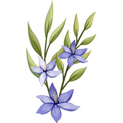 Fototapeta na wymiar Blue Floral Watercolor Illustration PNG Transparent Background