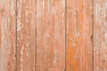 The background of the wall with the texture of boards painted with orange paint
