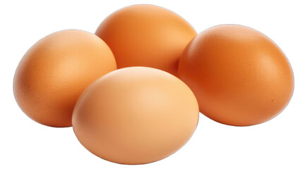 Chicken egg isolated