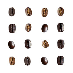 Set coffee beans png on isolated transparent background