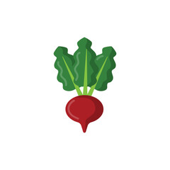 Beetroot Vegetable
