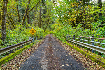 A Road Closed Ahead sign on the bridge over Keller Creek in the Siuslaw National Forest, Oregon, USA