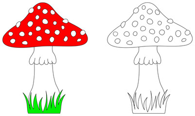 Toadstool mushroom outline. Amanita coloring book page for children. Fungus illustration. Game for kids.