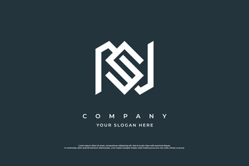 Initial Letter NS Logo or SN Monogram Logo Design Vector