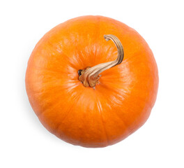 One fresh orange pumpkin isolated on white, top view