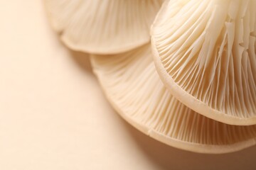 Fresh oyster mushrooms on beige background, macro view. Space for text