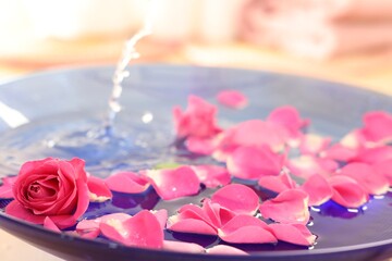 Pink rose and petals in bowl with water on blurred background, closeup