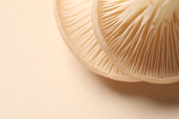 Fresh oyster mushrooms on beige background, macro view. Space for text