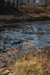 The rivers and streams in the city showcase a beautiful harmony where artificial and natural elements coexist.