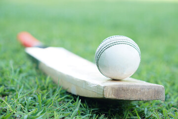 White cricket ball on wooden bat. Concept, sport equipment. Competitive sport. A cricket ball is...