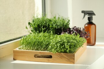 Different fresh microgreens in wooden crate on windowsill indoors