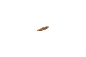 Aromatic caraway (Persian cumin) seed isolated on white