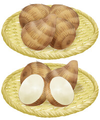 ザルにのった里芋のイラストセット／Illustration set of taro on a colander