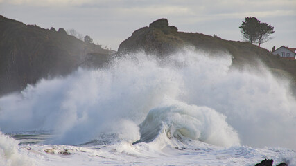 Ola rompe en la costa