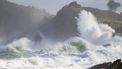Ola rompe en la costa
