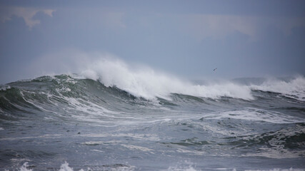 wave breaks on the coast