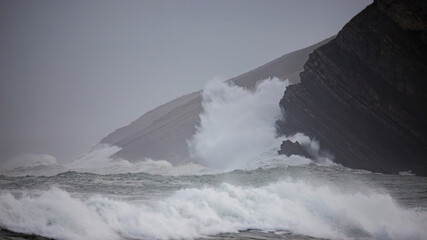 wave breaks on the coast
