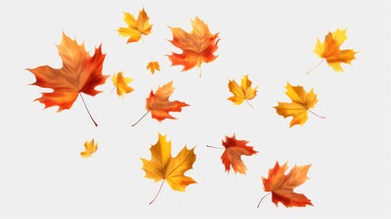 Realistic falling leaves. Autumn forest maple leaf in september season, flying orange foliage from tree on ground transparent background