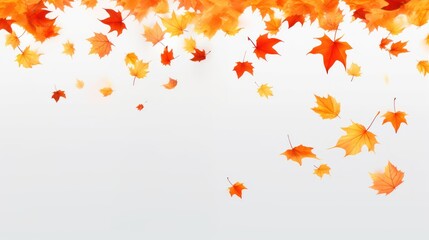 Obraz premium Realistic falling leaves. Autumn forest maple leaf in september season, flying orange foliage from tree on ground transparent background