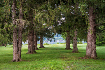 Obraz premium Otisco Lake Park in Upstate New York, Finger Lakes