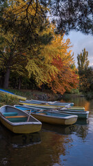 Obraz premium An early morning light reflecting off the water with boats on it, vibrant colored trees and an autumn nature background.