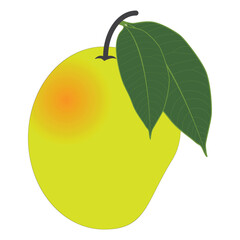Vector delicious mango ripe yellow, orange  with leaf isolated on white background