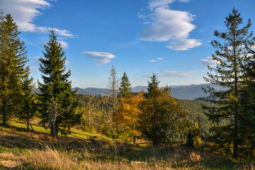Fototapeta na wymiar Beautiful autumn landscape in mountains and blue sky with clouds