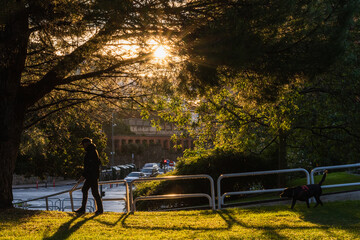 Nubia Correa Mart&iacute;nez