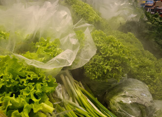 Lettuce leaves are being refreshed on shelf in store