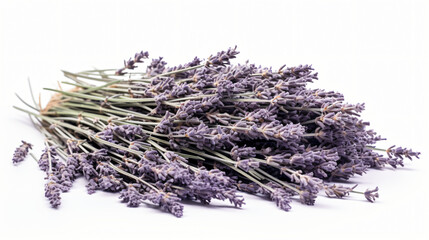 Dry lavender