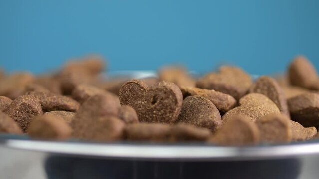 Pet bowl showcasing revolving dog tidbits in heart forms. Bright and fresh setting, portraying owner's deep bond.