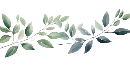 Watercolor floral illustration set of green leaf branches isolated on transparent background. Eucalyptus, olive, green leaves, - obrazy, fototapety, plakaty