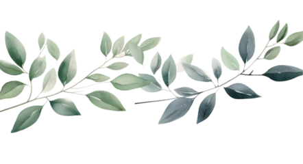 Foto op Plexiglas Watercolor floral illustration set of green leaf branches isolated on transparent background. Eucalyptus, olive, green leaves, © Dodoodle