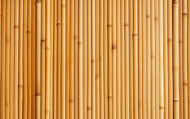Bamboo Wall Paneling On Transparent Background.