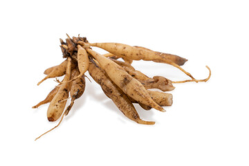 Shatavari or Asparagus racemosus roots isolated on white background, herbal or ayurvedic medicine
