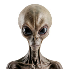 Alien isolated on white background