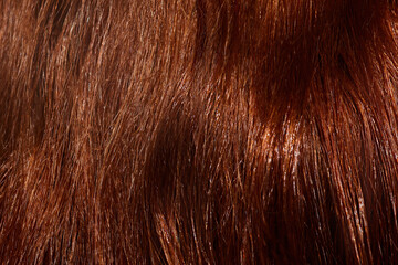 Close-up image redhead, glossy, healthy, wavy female hair. Taking care after look. Haircut. Concept of beauty, hair care, treatment, natural cosmetics. Copy space for ad