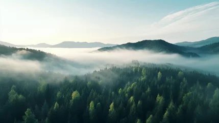 Fotobehang Morning fog above the forest © frimufilms
