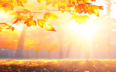 Naklejka na ściany i meble wide view of fall with light blurred